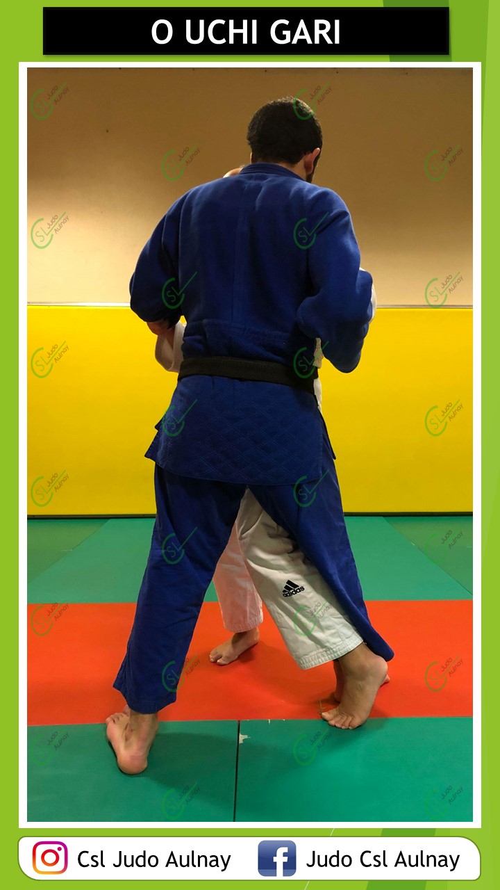 O Uchi Gari