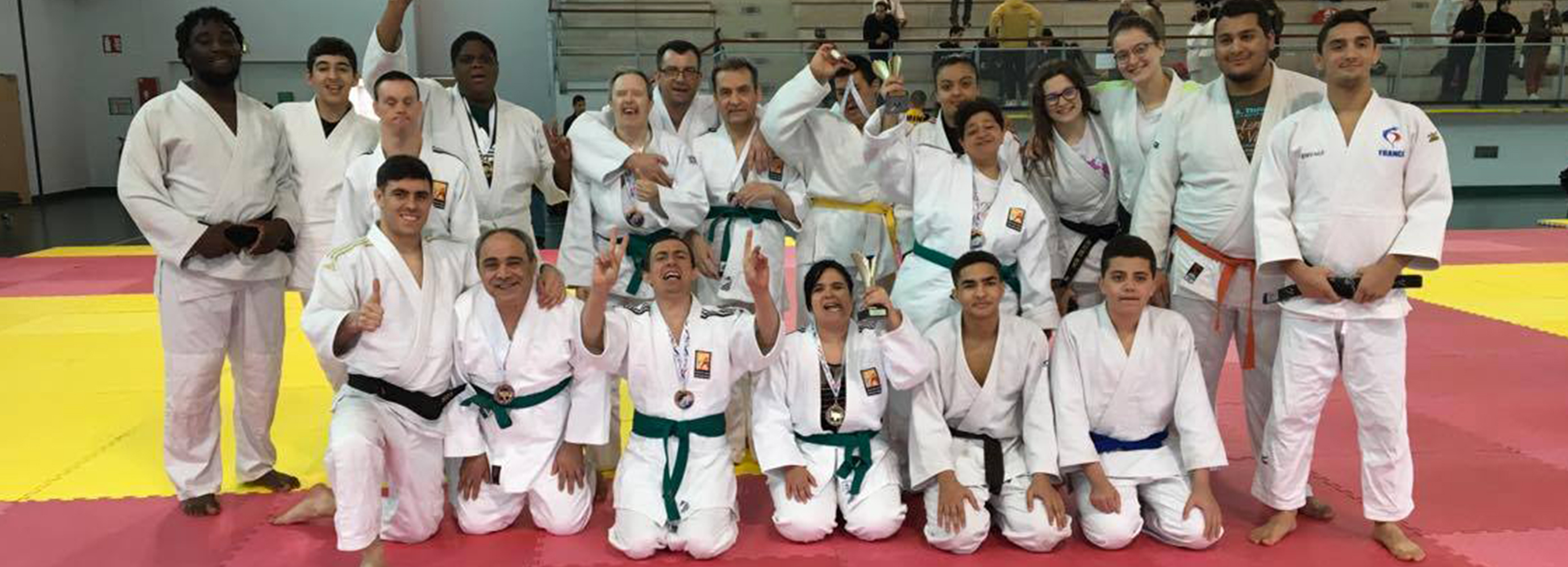 Handi judo